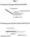 Fig. 02 - Detection of target nucleic acid sequences by PTO cleavage and extension assay
