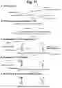 Fig. 12 - Detection of target nucleic acid sequences by PTO cleavage and extension assay