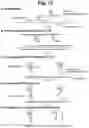 Fig. 13 - Detection of target nucleic acid sequences by PTO cleavage and extension assay