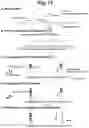Fig. 14 - Detection of target nucleic acid sequences by PTO cleavage and extension assay