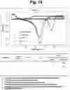 Fig. 16 - Detection of target nucleic acid sequences by PTO cleavage and extension assay