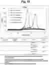 Fig. 17 - Detection of target nucleic acid sequences by PTO cleavage and extension assay