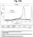 Fig. 19 - Detection of target nucleic acid sequences by PTO cleavage and extension assay