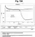 Fig. 20 - Detection of target nucleic acid sequences by PTO cleavage and extension assay