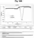 Fig. 21 - Detection of target nucleic acid sequences by PTO cleavage and extension assay