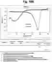 Fig. 23 - Detection of target nucleic acid sequences by PTO cleavage and extension assay