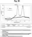 Fig. 24 - Detection of target nucleic acid sequences by PTO cleavage and extension assay