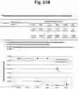 Fig. 26 - Detection of target nucleic acid sequences by PTO cleavage and extension assay