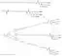 Fig. 03 - Modified nucleotide reagents