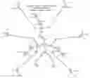 Fig. 15 - Modified nucleotide reagents