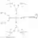 Fig. 29 - Modified nucleotide reagents