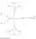 Fig. 35 - Modified nucleotide reagents