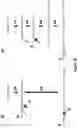 Fig. 19 - Method for attaching one or more polynucleotide binding proteins to a target polynucleotide