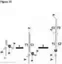 Fig. 20 - Method for attaching one or more polynucleotide binding proteins to a target polynucleotide