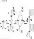 Fig. 22 - Method for attaching one or more polynucleotide binding proteins to a target polynucleotide