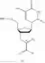 Fig. 08 - Modified nucleosides or nucleotides