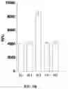 Fig. 07 - ULTRA SENSITIVE PROBES FOR DETECTION OF NUCLEIC ACID