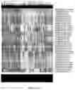 Fig. 06 - Deconvolution and Detection of Rare DNA in Plasma