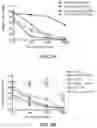 Fig. 05 - DDR2 Mutations in Squamous Cell Lung Cancer