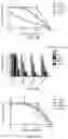 Fig. 07 - DDR2 Mutations in Squamous Cell Lung Cancer