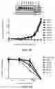 Fig. 12 - DDR2 Mutations in Squamous Cell Lung Cancer