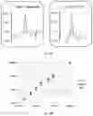 Fig. 08 - Systems and methods to detect rare mutations and copy number variation