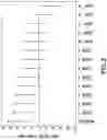 Fig. 03 - Transgenic corn event MON87403 and methods for detection thereof