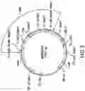 Fig. 04 - Transgenic corn event MON87403 and methods for detection thereof