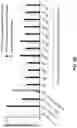 Fig. 03 - Method for quantifying DNA fragments in a sample by size