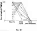 Fig. 06 - Method for quantifying DNA fragments in a sample by size