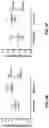 Fig. 10 - Method for quantifying DNA fragments in a sample by size
