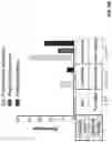 Fig. 13 - Method for quantifying DNA fragments in a sample by size