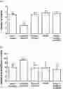 Fig. 01 - Lactic acid bacteria and its applications