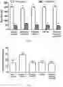 Fig. 03 - Lactic acid bacteria and its applications