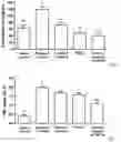 Fig. 04 - Lactic acid bacteria and its applications