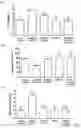 Fig. 06 - Lactic acid bacteria and its applications
