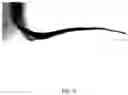 Fig. 06 - Austenitic stainless steel having excellent processability and surface characteristics, and manufacturing method therefor