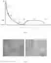 Fig. 02 - Method for producing an ausferritic steel, austempered during continuous cooling followed by annealing