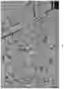 Fig. 11 - High carbon content cobalt-based alloy