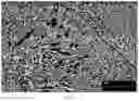 Fig. 23 - High carbon content cobalt-based alloy