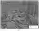 Fig. 24 - High carbon content cobalt-based alloy