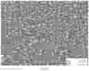 Fig. 25 - High carbon content cobalt-based alloy