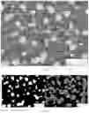 Fig. 26 - High carbon content cobalt-based alloy