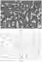 Fig. 27 - High carbon content cobalt-based alloy