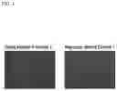 Fig. 05 - Magnesium alloy sheet and method for manufacturing same