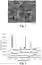 Fig. 06 - Flexible substrate having a plasmonic particle surface coating and method of making the same