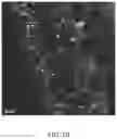 Fig. 04 - Modified oxide surface treatment layer for alloys and corresponding methods