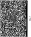 Fig. 05 - Micro-roughened electrodeposited copper foil and copper foil substrate