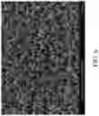 Fig. 07 - Micro-roughened electrodeposited copper foil and copper foil substrate
