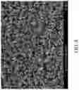 Fig. 09 - Micro-roughened electrodeposited copper foil and copper foil substrate
